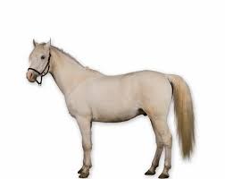 da tractor crew Cover